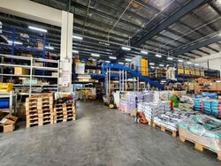 Wave9 (D27), Factory #569590261